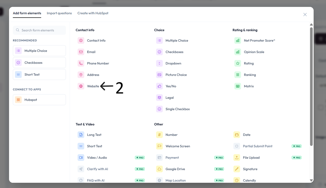 Website option selected after step 2